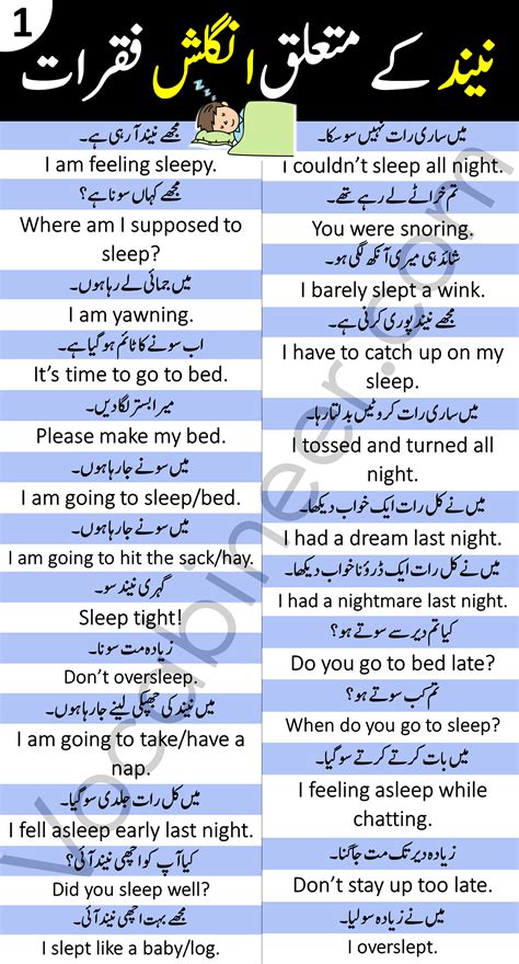 Daily Use English Sentences With Urdu And Hindi Translation For English