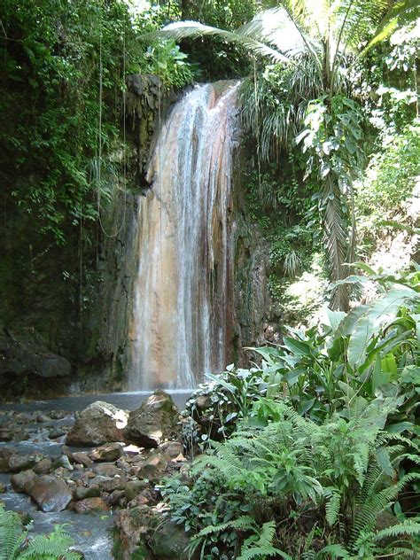 Saint Lucia Rainforest Waterfall 2005 Vacation Locations St