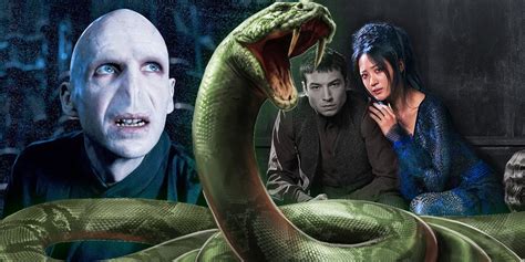 Fantastic Beasts 2 Origin Story Of Voldemorts Nagini Will Be Explored