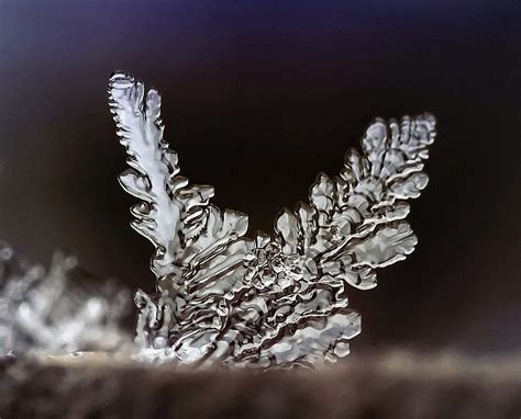 Macro Photos Of Individual Snowflakes Twistedsifter