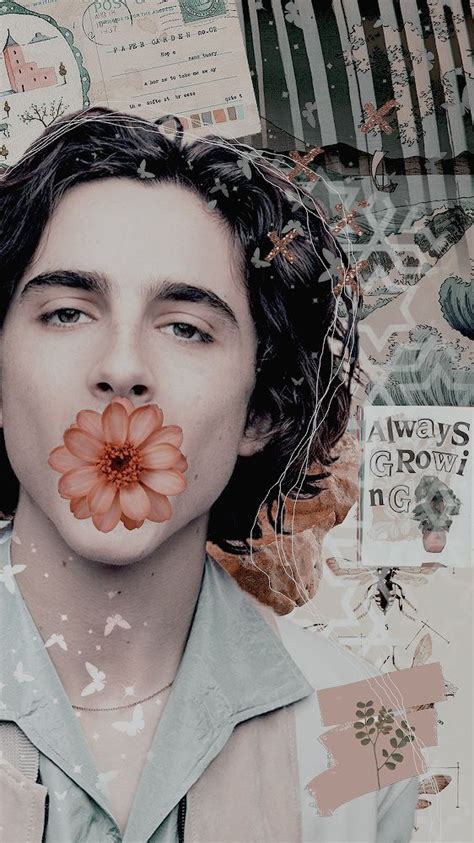 28 Aesthetic And Vintage Timothee Chalamet Iphone Wallpaper Ideas