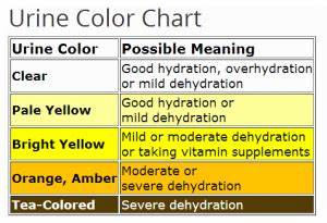 Urine Color Chart For Dehydration Ehealthstar