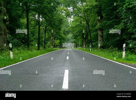 An Empty Blacktop Two Lane Road In Deep Lush Green Forest With Copy