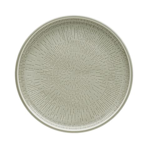 Shiro Glaze Plate Flat Round Coupe Structure Steam 21cm Ambience