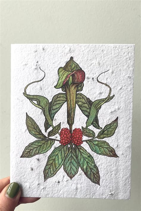 Jack In The Pulpit Seeded Paper Card Sprout Home