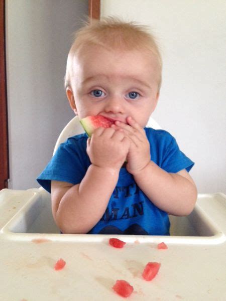 So the introduction of finger foods helps the transition of feeding to self feeding easier. Finger food Inspirations: What to feed your 8-10 month old ...