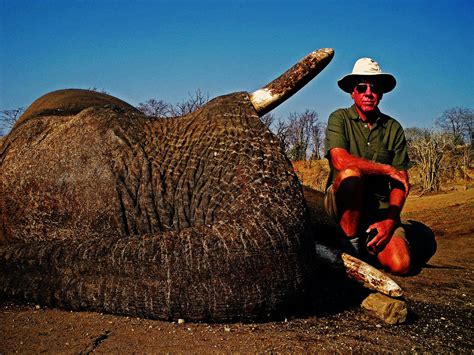 Hunting Elephants In South Africa With The Best African Elephant Hunters