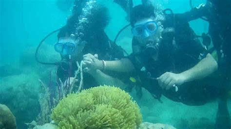 Scuba Diving Havelock Island ~ Andaman Youtube