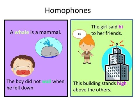 Homophones Words That Sound The Same But Have Different Meanings