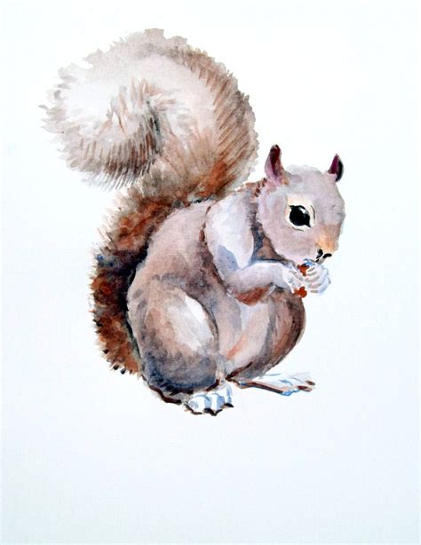 Squirrel Original Watercolor Painting 12 X 9 By Originalonly