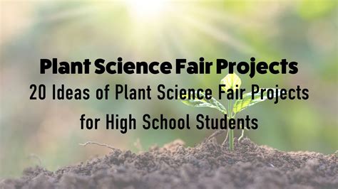 Plant Science Fair Projects 20 Ideas Of Plant Science Fair Projects