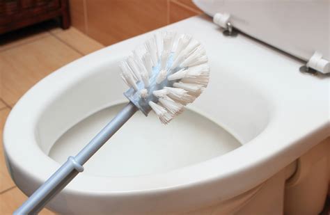a mum wanted to know if it is disgusting to clean her toilet brushes in the dishwasher and well