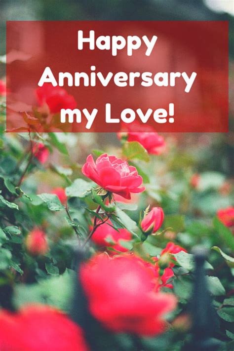 Happy Anniversary My Love Pictures Photos And Images For Facebook