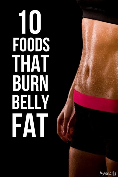 10 Foods That Burn Belly Fat Avocadu