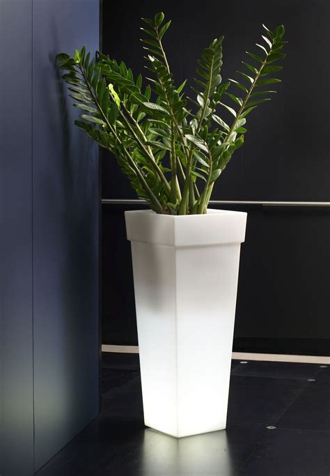 Trova tantissime idee per piante giapponesi da giardino. Vasi Luminosi Alti Serie Geryon Con Vasi Alti Da Interno ...