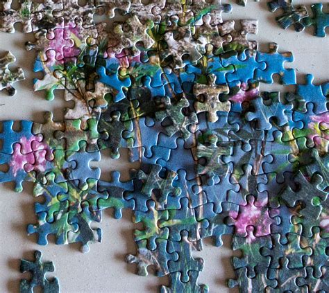 Benefits Of Working A Daily Jigsaw Puzzle Jigsaw Puzzle Guru