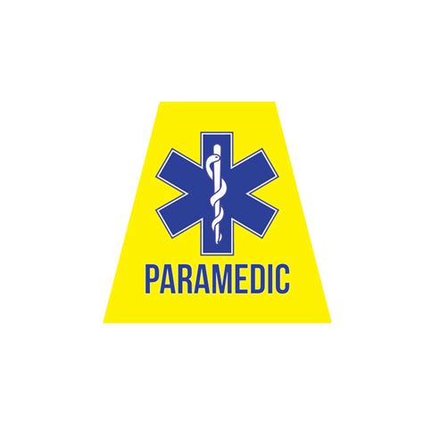 Paramedic Reflective Helmet Tetrahedrons Tets Police Fire Ems Viny