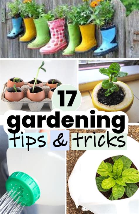 21 Tricks That Will Change The Way You Garden