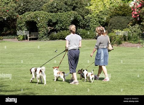 Frauen Gehen Hunde Auf Rasen Im Kenwood House English Heritage Historische Wahrzeichen Hampstead