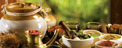 Ayurvedic Massage And Treatment Centre Kudle Ocean Front