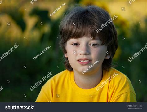 6 Years Old Boy Portraits Summer Stock Photo 1657034539 Shutterstock