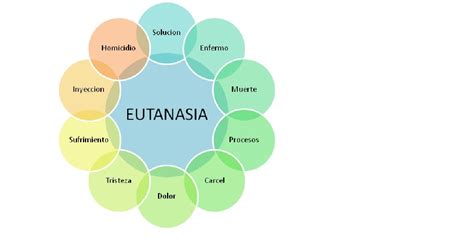 Por otro lado, la eutanasia indirecta, aun cuando busca también producir una reducción en el tiempo de agonía del paciente, no procede directamente a causar o provocar la muerte de éste, a pesar de que incurre en la administración de fármacos o procedimientos que a la larga sí pueden conducir a que la vida del. adriana rengifo: Eutanasia