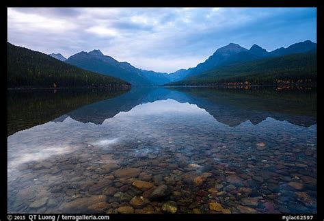 Picturephoto Submerged Rocks And Mountain Reflected Bowman Lake