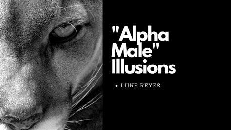 Being An Alpha Male Is Bs Youtube