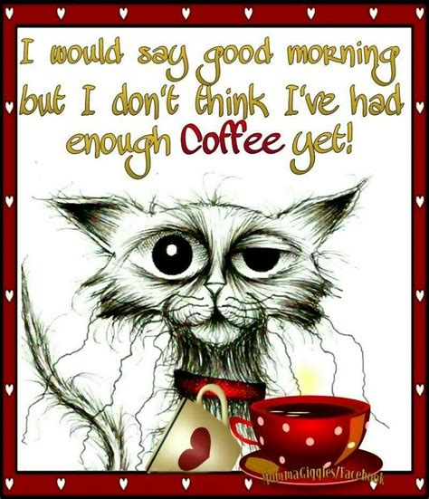 ☕☕☕ Coffee Jokes Coffee Quotes Funny Cat Coffee I Love Coffee Funny