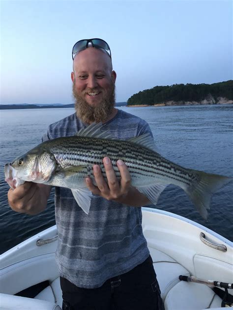 So After Seeing A Striper Posted On Here I Was Wondering Is This A