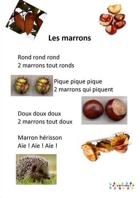 Les Marrons Comptine Automne Chansons Comptines Comptines 20520 Hot