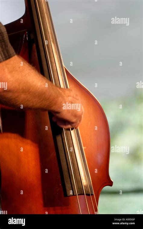 Playing Double Bass White Hi Res Stock Photography And Images Alamy