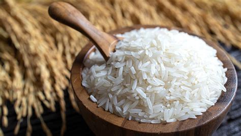 Has Rice Pakistan Pakistan Rice Exporters Pakistan Rice Mills Irri