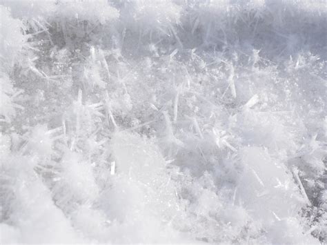 Free Images Cold Frost Weather Frozen Season Sparkle Icy