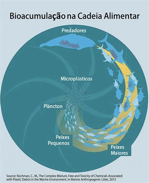 Microplásticos chegam aos humanos saiba como Mar Sem Fim