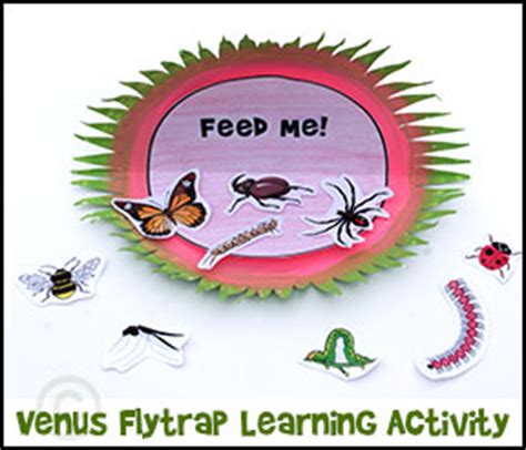 Venus Fly trap Crafts and Learning Activities for Children