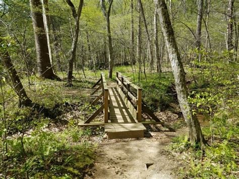 Wood Bridge Over Creek On Trail In Forest With Trees Stock Photo