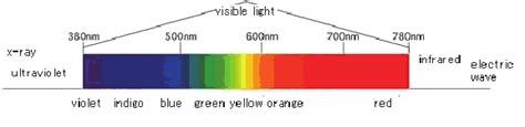 Color And Wavelength Within The Rage Of The Visible Light Spectrum