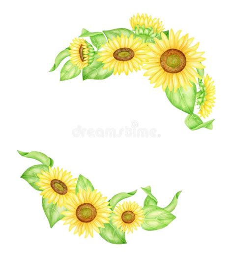 Watercolor Sunflowers Frame Hand Painted Wreath With Yellow Farm