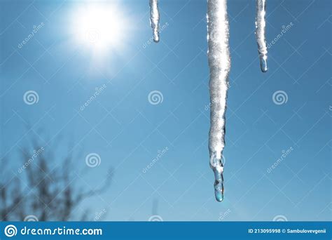 Icicles Melt And Drip In The Spring Against The Blue Sky With The Sun