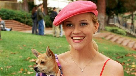 Legally Blonde Release Date Cast And More
