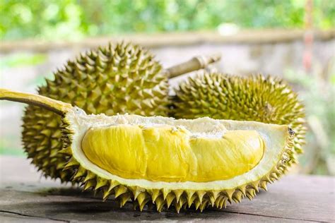 (b) seperti mentimun dengan durian. Ada Asam Amino Langka dalam Durian, Seperti apa Manfaatnya ...
