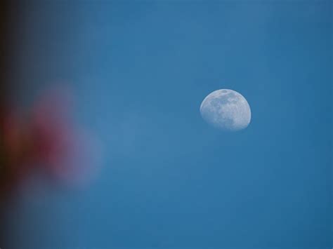 Fotos De La Luna Tomadas Desde Zaragoza España El Universo Hoy