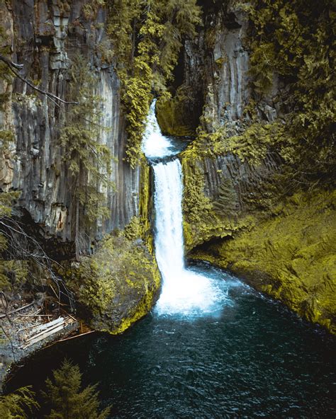 Waterfall Deep In Umpqua National Forest Oregon 3723 X 4654 Oc R