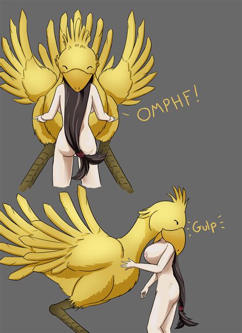 Rule 34 Avian Beak Bird Breasts Chocobo Feathers Female Feral Final Fantasy Final Fantasy Vii
