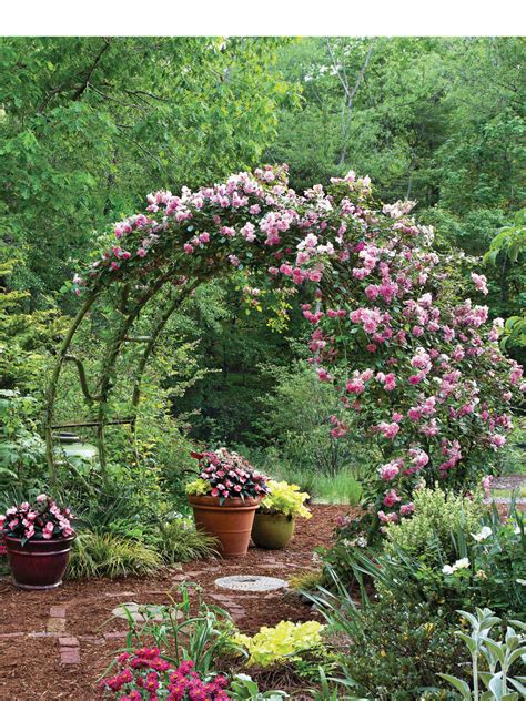 Welcome to country gardens subscriber services! "A Sparkling Garden" from Country Gardens Magazine, Summer ...