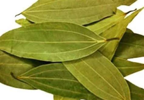 Ceylon Natural Dried Cinnamon Leaves Etsy