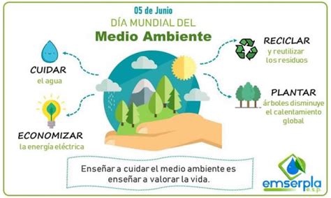 Enseñar A Cuidar El Medio Ambiente Es Enseñar A Valorar La Vida