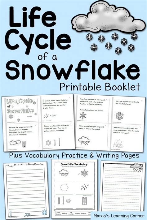 Free Printable Life Cycle Of A Snowflake Booklet And Worksheets