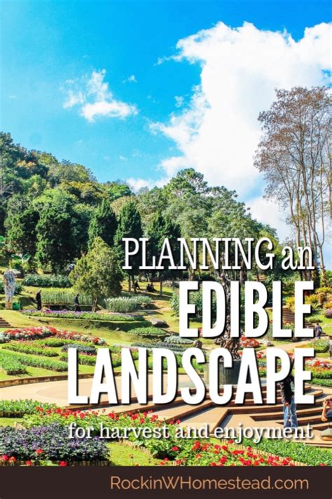 Planning Your Edible Landscape Rockin W Homestead